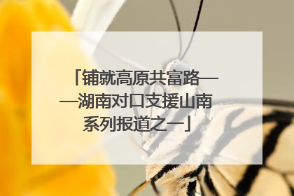 铺就高原共富路——湖南对口支援山南系列报道之一