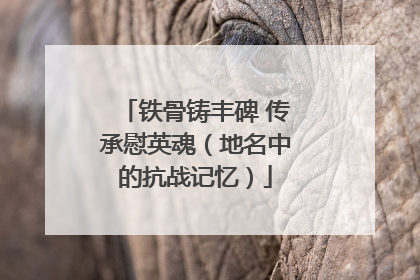 铁骨铸丰碑 传承慰英魂（地名中的抗战记忆）