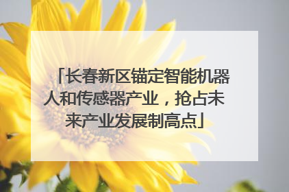 长春新区锚定智能机器人和传感器产业，抢占未来产业发展制高点