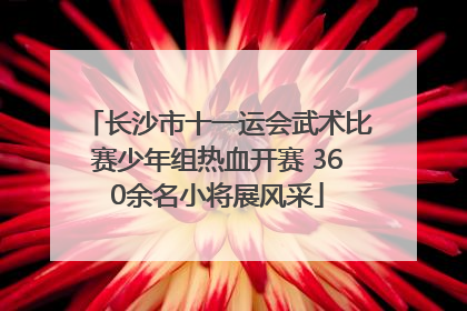 长沙市十一运会武术比赛少年组热血开赛 360余名小将展风采