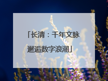 长清：千年文脉邂逅数字浪潮
