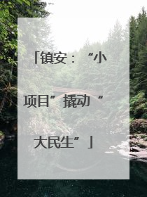 镇安：“小项目”撬动“大民生”