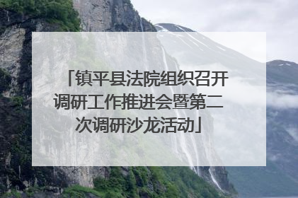 镇平县法院组织召开调研工作推进会暨第二次调研沙龙活动