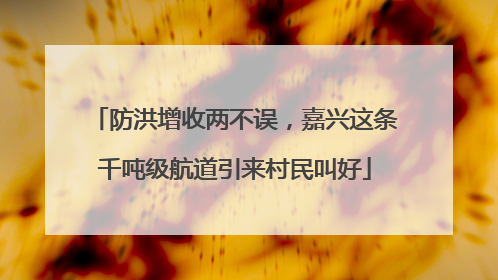 防洪增收两不误，嘉兴这条千吨级航道引来村民叫好