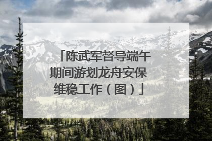 陈武军督导端午期间游划龙舟安保维稳工作（图）