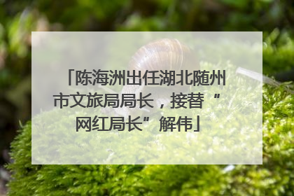 陈海洲出任湖北随州市文旅局局长，接替“网红局长”解伟