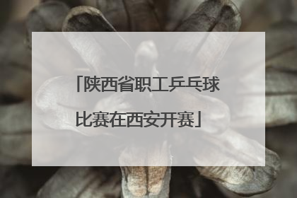 陕西省职工乒乓球比赛在西安开赛