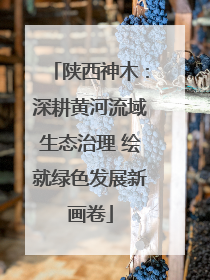 陕西神木：深耕黄河流域生态治理 绘就绿色发展新画卷