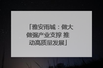 雅安雨城：做大做强产业支撑 推动高质量发展