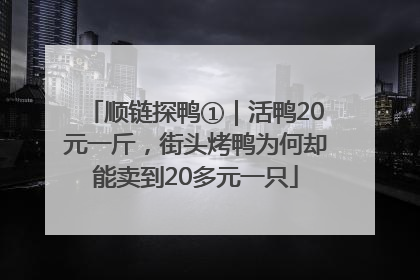 顺链探鸭①｜活鸭20元一斤，街头烤鸭为何却能卖到20多元一只