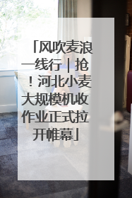 风吹麦浪一线行｜抢！河北小麦大规模机收作业正式拉开帷幕