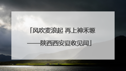 风吹麦浪起 再上神禾塬——陕西西安夏收见闻