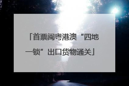 首票闽粤港澳“四地一锁”出口货物通关
