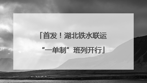 首发！湖北铁水联运“一单制”班列开行