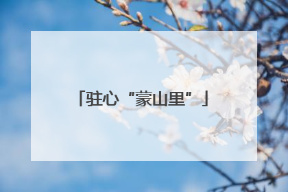 驻心“蒙山里”