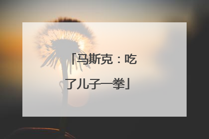马斯克：吃了儿子一拳