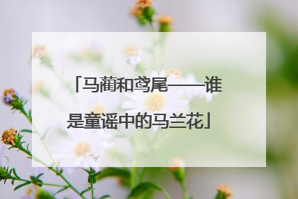 马蔺和鸢尾——谁是童谣中的马兰花