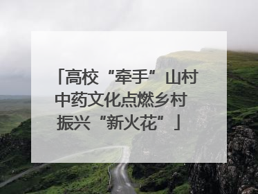 高校“牵手”山村 中药文化点燃乡村振兴“新火花”