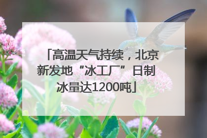 高温天气持续，北京新发地“冰工厂”日制冰量达1200吨