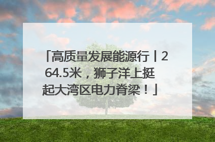 高质量发展能源行丨264.5米，狮子洋上挺起大湾区电力脊梁！