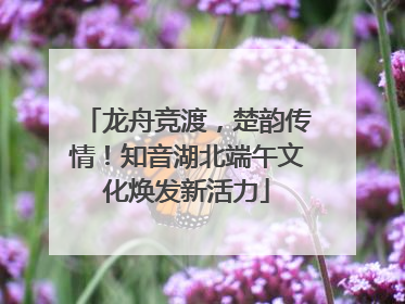 龙舟竞渡，楚韵传情！知音湖北端午文化焕发新活力