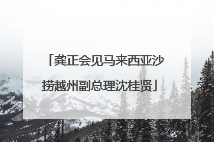 龚正会见马来西亚沙捞越州副总理沈桂贤