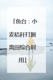 鱼台：小麦秸秆打捆离田综合利用