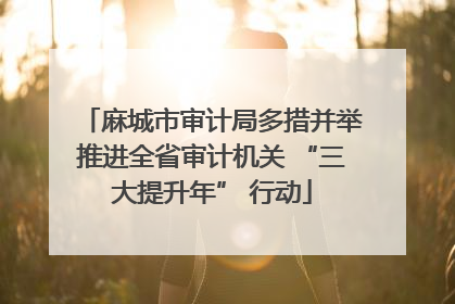 麻城市审计局多措并举推进全省审计机关 “三大提升年” 行动