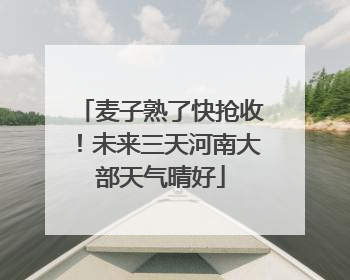 麦子熟了快抢收！未来三天河南大部天气晴好