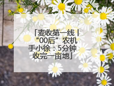 麦收第一线丨“00后”农机手小徐：5分钟收完一亩地