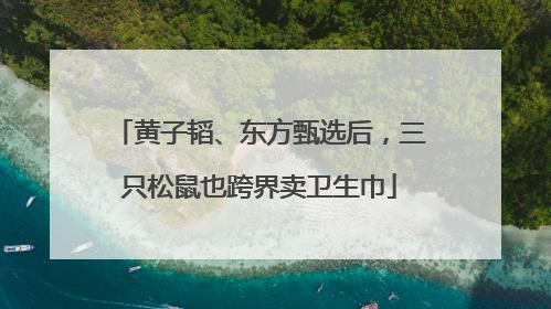 黄子韬、东方甄选后，三只松鼠也跨界卖卫生巾