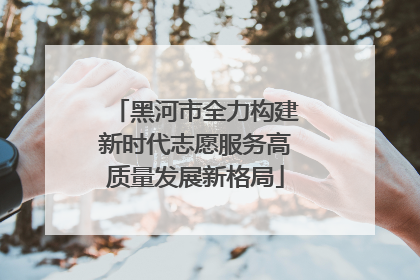 黑河市全力构建新时代志愿服务高质量发展新格局