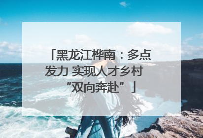 黑龙江桦南：多点发力 实现人才乡村“双向奔赴”