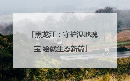 黑龙江：守护湿地瑰宝 绘就生态新篇