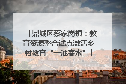 鼎城区蔡家岗镇：教育资源整合试点激活乡村教育“一池春水”