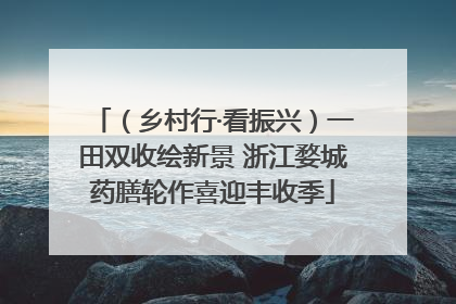 （乡村行·看振兴）一田双收绘新景 浙江婺城药膳轮作喜迎丰收季