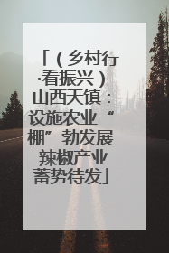 （乡村行·看振兴）山西天镇：设施农业“棚”勃发展 辣椒产业蓄势待发