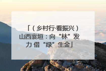 （乡村行·看振兴）山西襄垣：向“林”发力 借“绿”生金