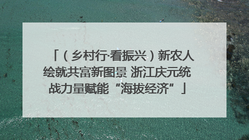 （乡村行·看振兴）新农人绘就共富新图景 浙江庆元统战力量赋能“海拔经济”