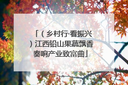 （乡村行·看振兴）江西铅山果蔬飘香 奏响产业致富曲