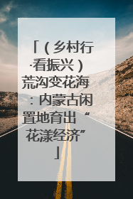 （乡村行·看振兴）荒沟变花海：内蒙古闲置地育出“花漾经济”