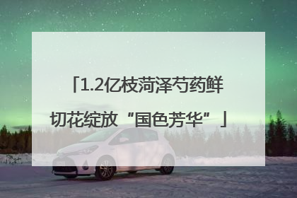 1.2亿枝菏泽芍药鲜切花绽放“国色芳华”