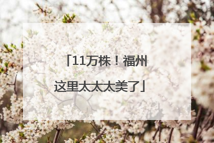 11万株！福州这里太太太美了