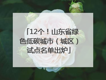12个！山东省绿色低碳城市（城区）试点名单出炉