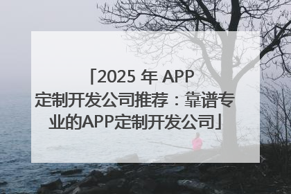 2025 年 APP 定制开发公司推荐：靠谱专业的APP定制开发公司