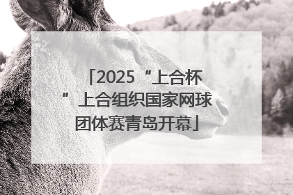 2025“上合杯”上合组织国家网球团体赛青岛开幕