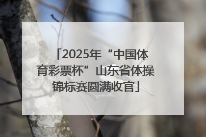 2025年“中国体育彩票杯”山东省体操锦标赛圆满收官