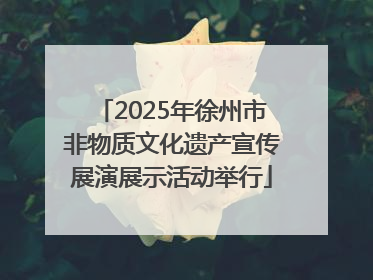 2025年徐州市非物质文化遗产宣传展演展示活动举行