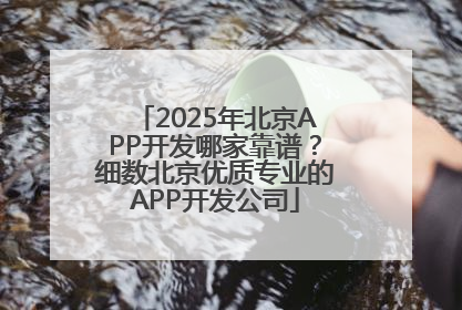 2025年北京APP开发哪家靠谱？细数北京优质专业的APP开发公司