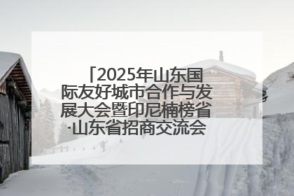 2025年山东国际友好城市合作与发展大会暨印尼楠榜省·山东省招商交流会在济南槐荫举行